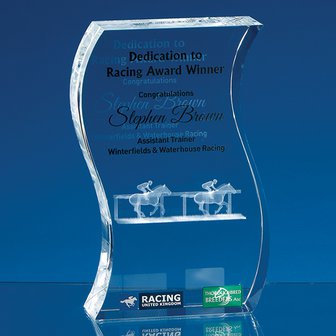 17.5cm Optical Crystal Freestanding Wave Award