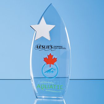 28cm Optical Crystal Arch Award with Silver Star